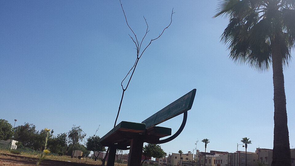Meknes — multi-vendor marketplaces for local businesses