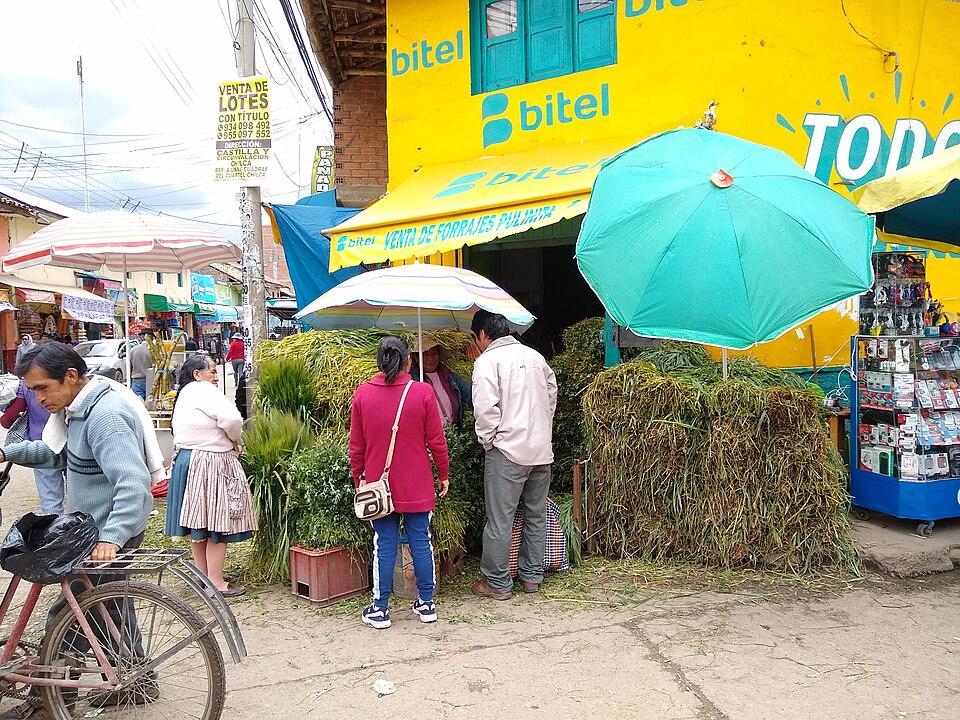 Huancayo — local market for mobile commerce apps