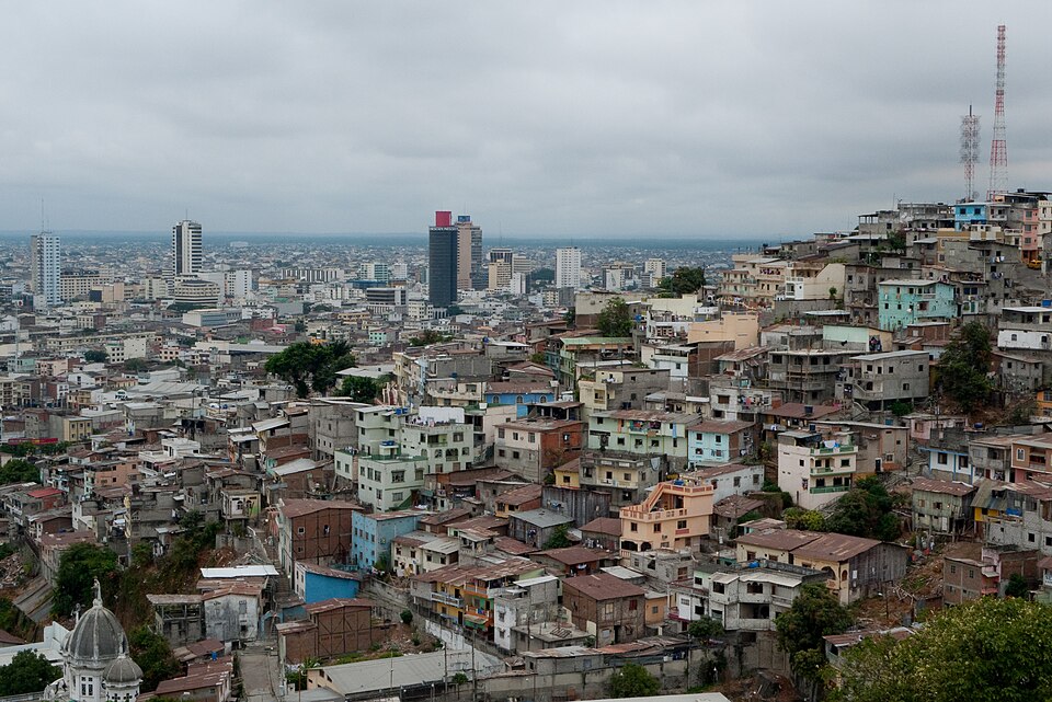 Guayaquil — local market for manufacturer and distributor portals