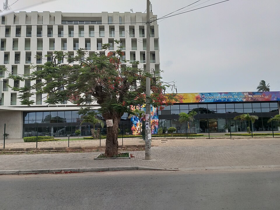 Matola — local market for B2B and wholesale portals