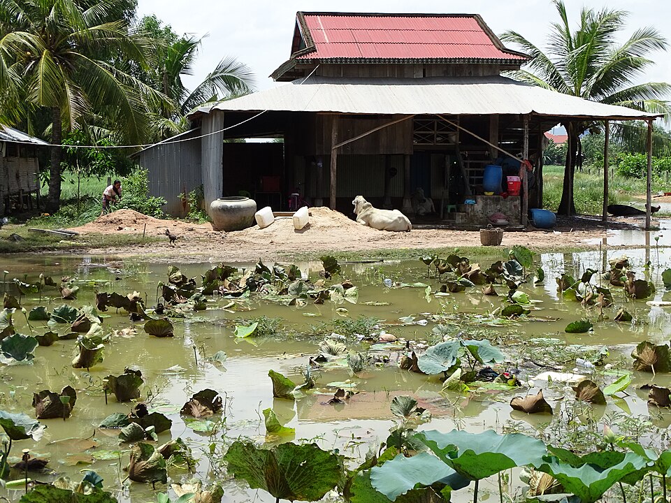 Cambodia — international and multi-region stores for local businesses