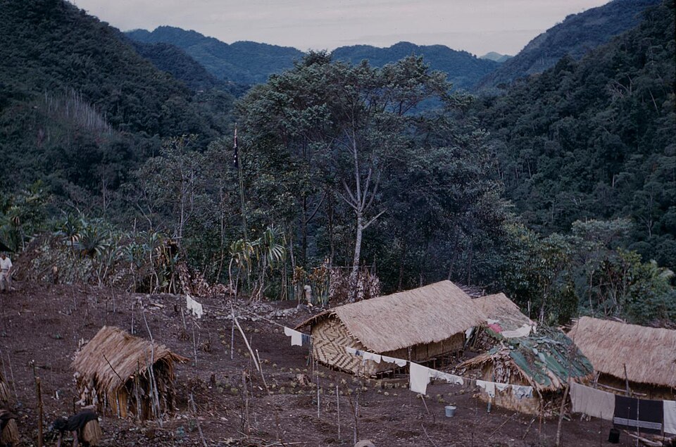 Papua New Guinea — local market for custom e-commerce platforms