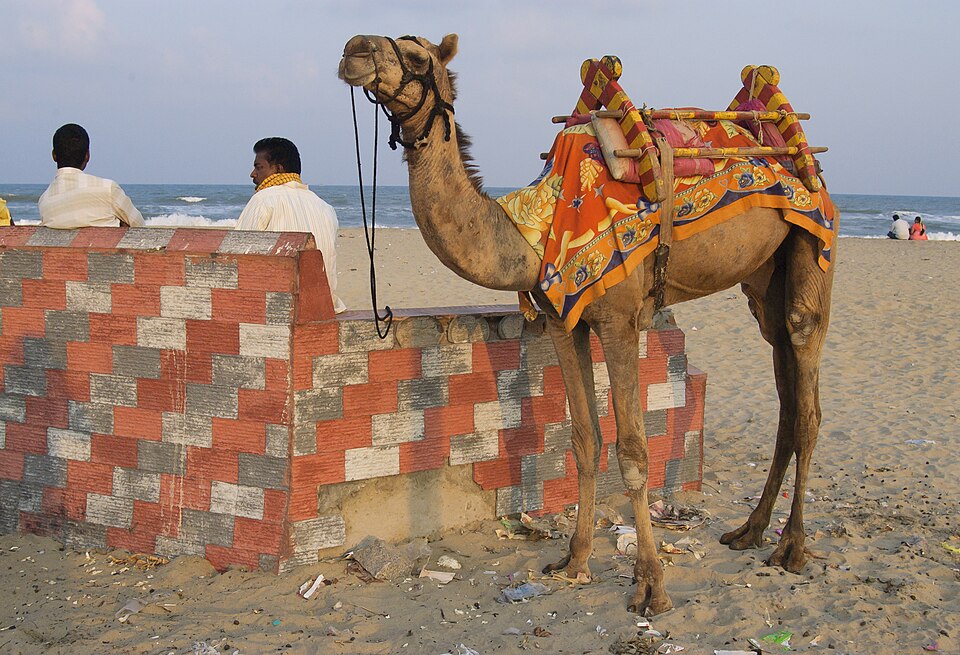 Puducherry — local market for multi-vendor marketplaces