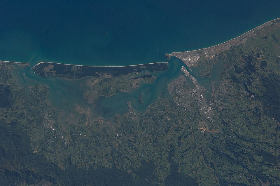 Tauranga — B2B and wholesale portals for local businesses