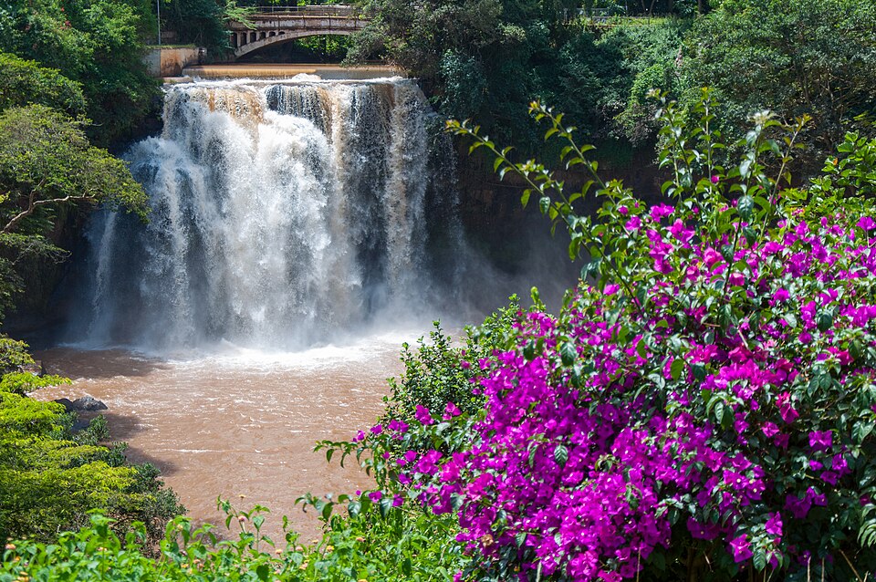 Thika — local market for multi-vendor marketplaces
