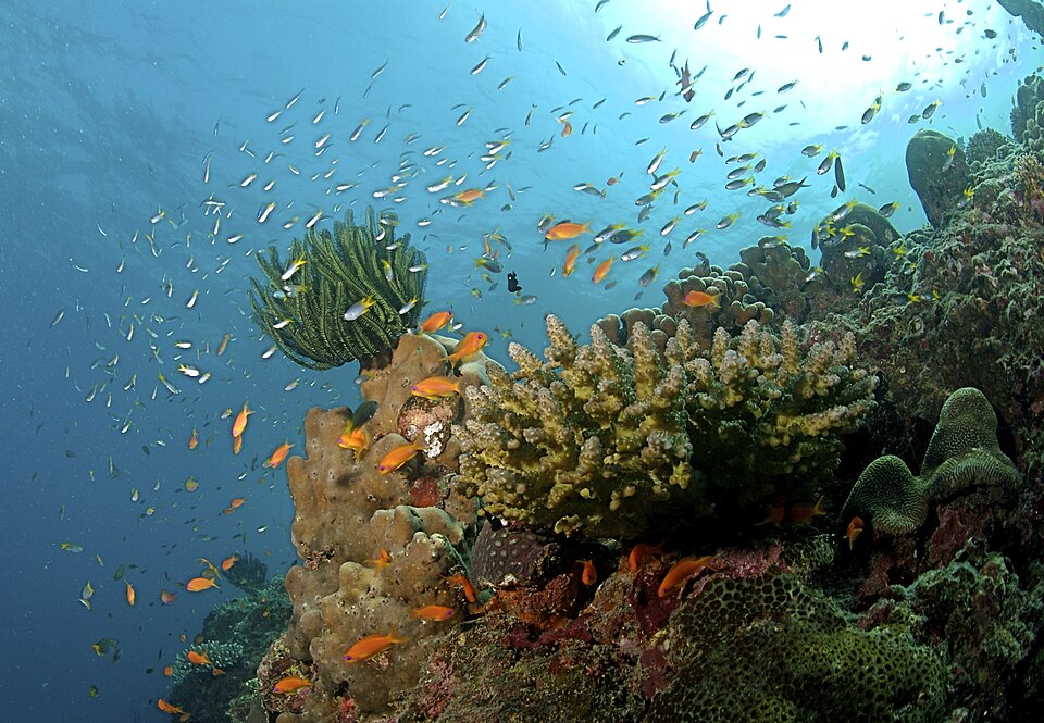 Andaman and Nicobar Islands, India