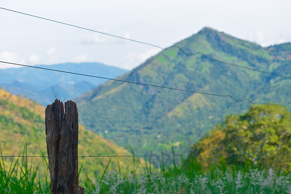 Sri Lanka — online stores for local businesses