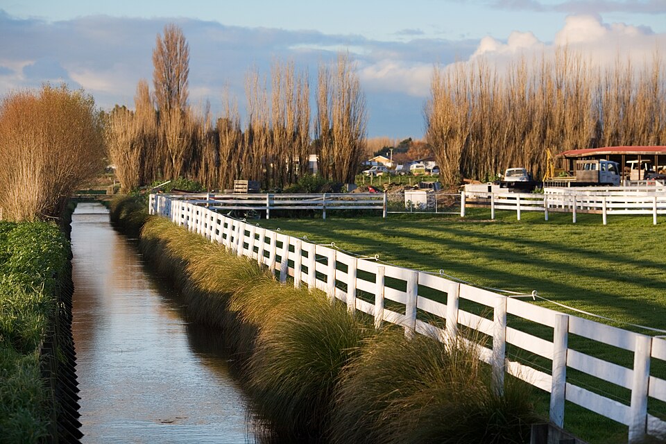 New Zealand — mobile commerce apps for local businesses