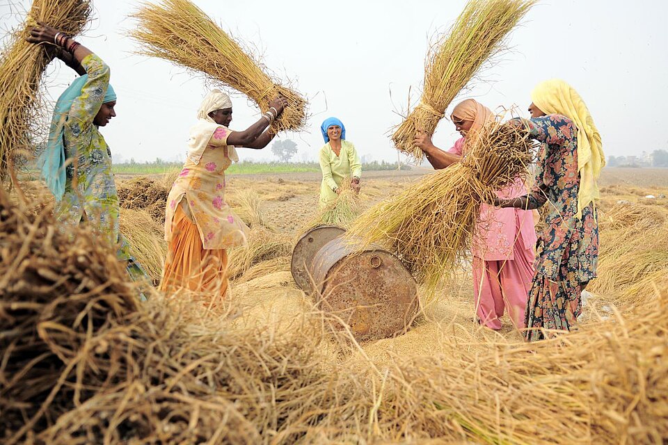 Sangrur — local market for mobile commerce apps