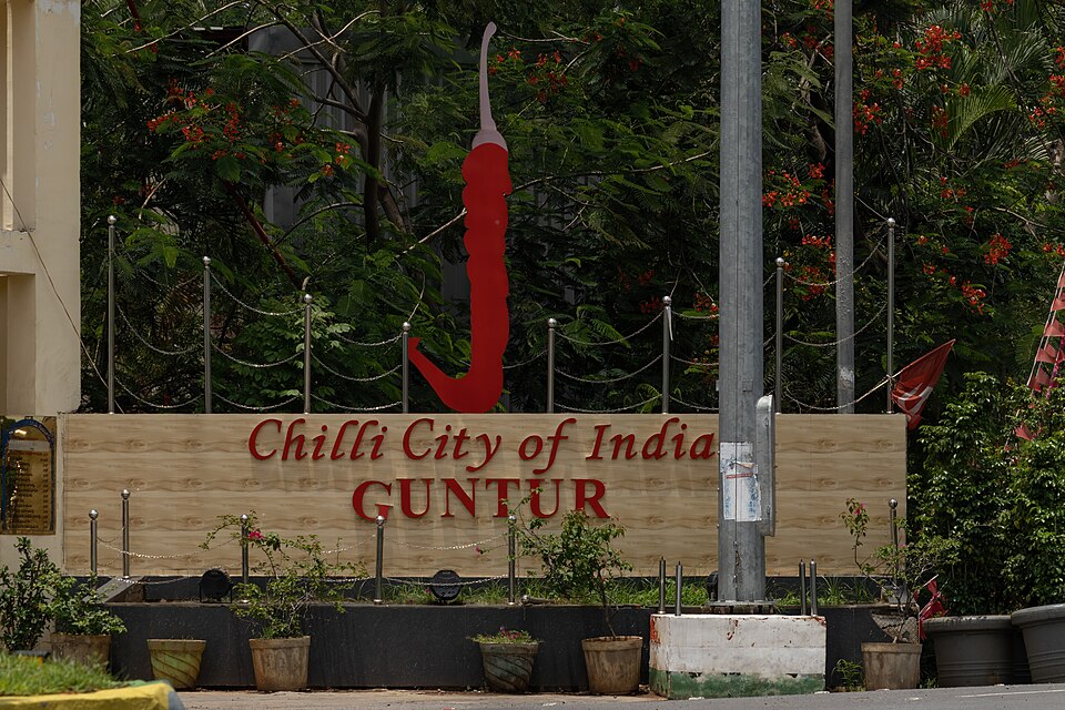 Guntur — local market for multi-vendor marketplaces