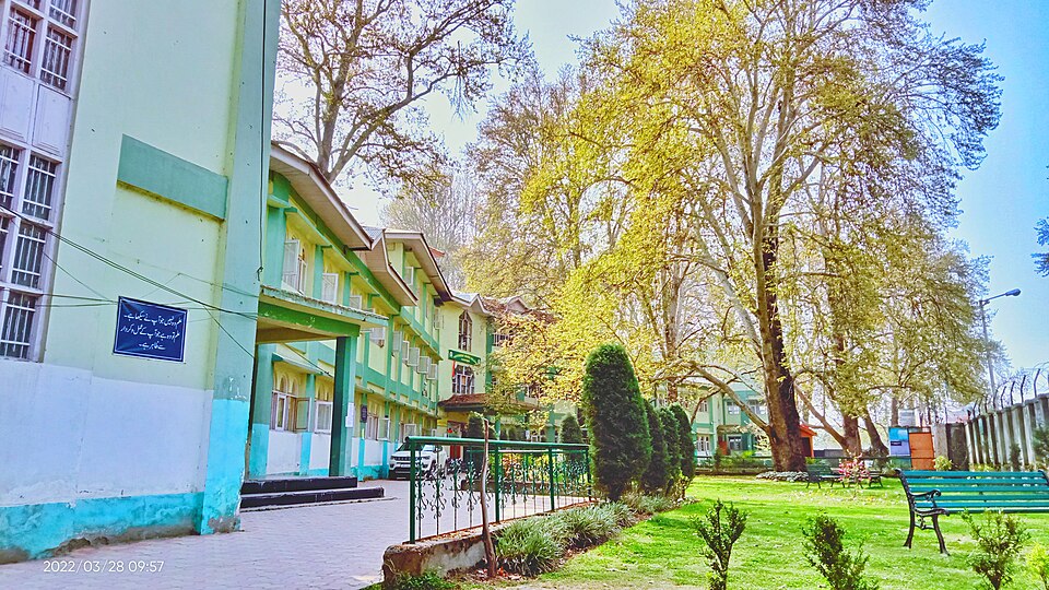 Ganderbal — local market for service booking platforms