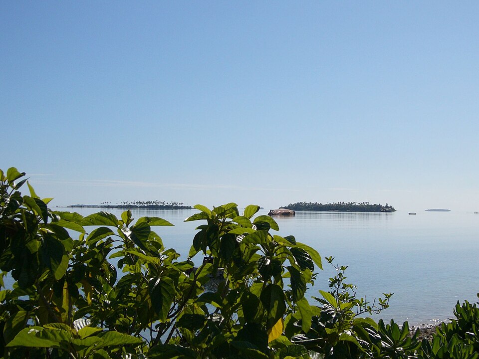 Tonga — local market for online stores