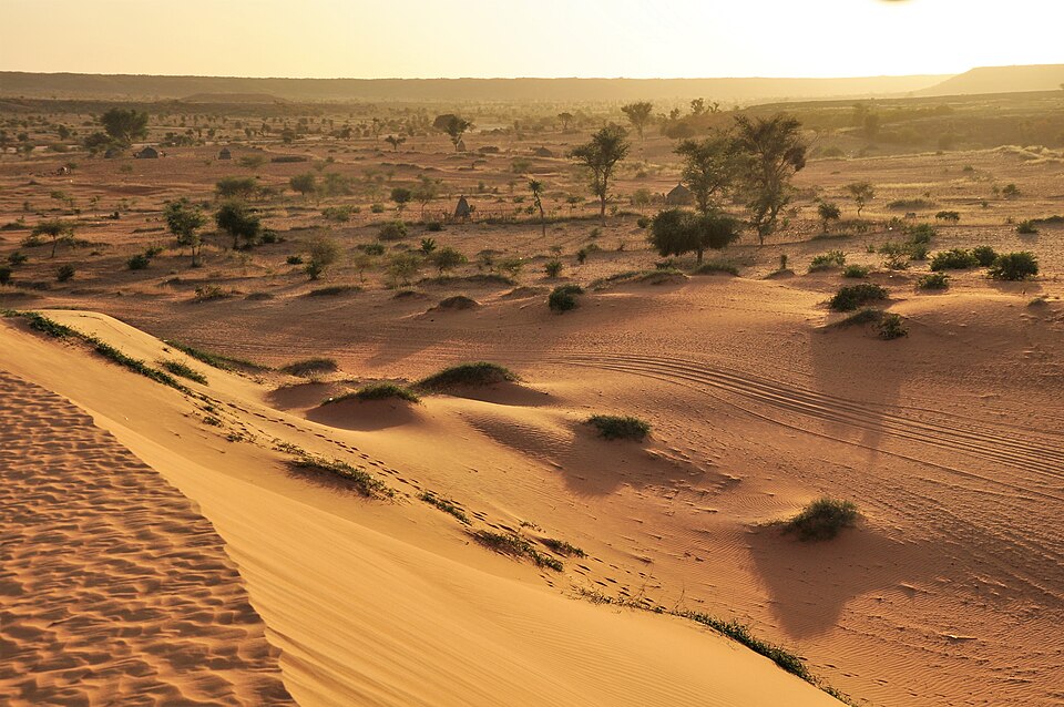 Niger — local market for B2B and wholesale portals