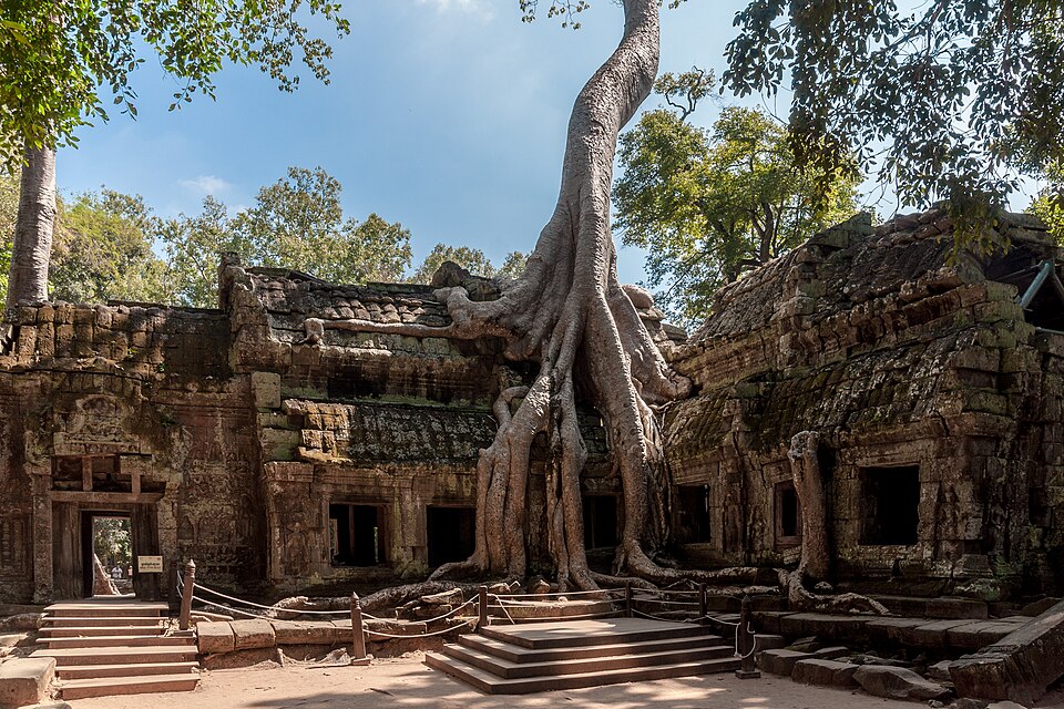 Cambodia — manufacturer and distributor portals for local businesses