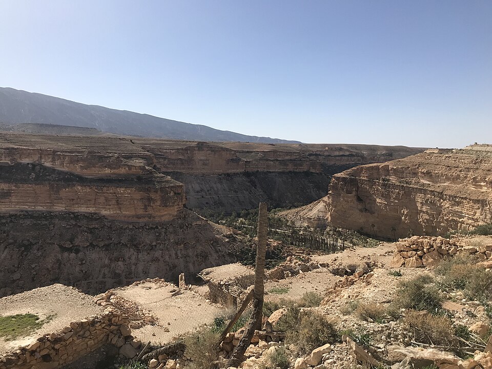 Algeria — local market for multi-vendor marketplaces