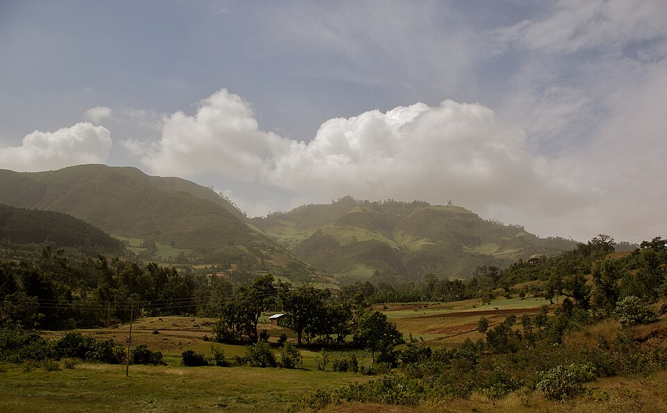 Ethiopia — multi-vendor marketplaces for local businesses