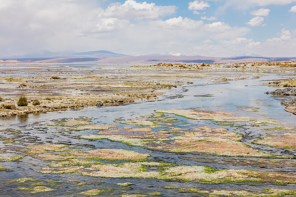 Bolivia — manufacturer and distributor portals for local businesses