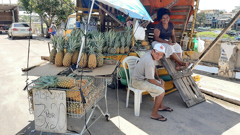 Manaus — local market for multi-vendor marketplaces