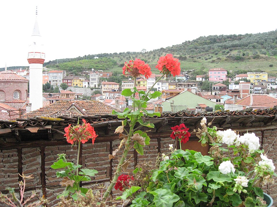 Bursa — local market for custom e-commerce platforms