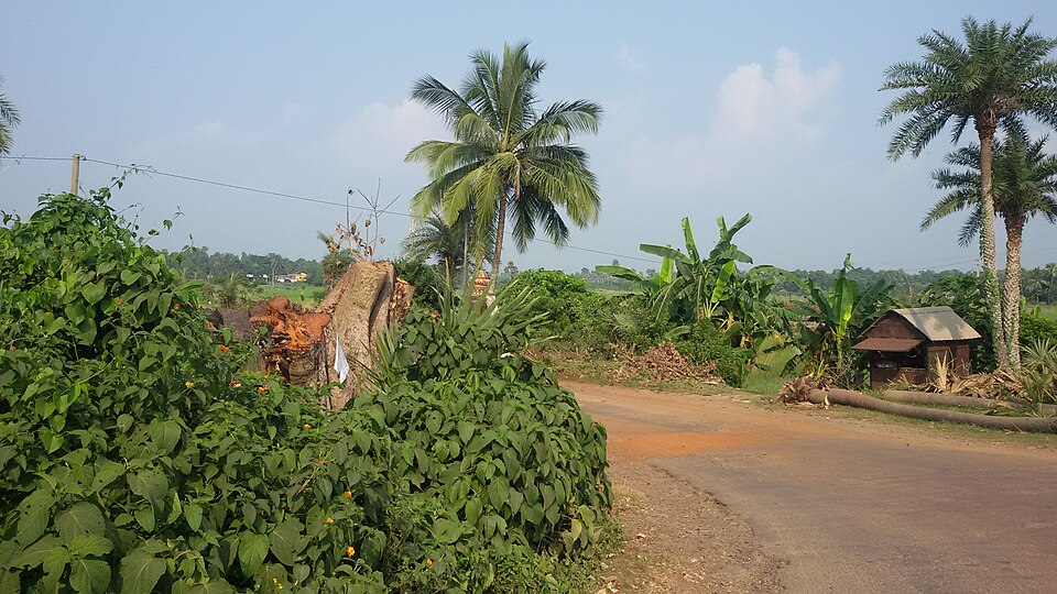 Hindupur — multi-vendor marketplaces for local businesses