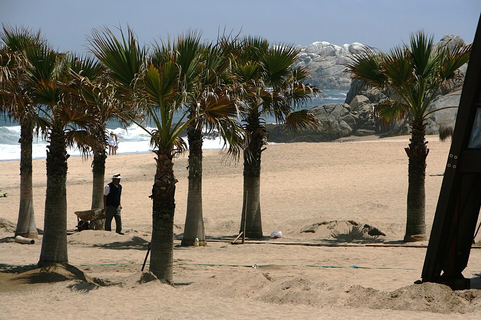 Viña del Mar — subscription and membership platforms for local businesses