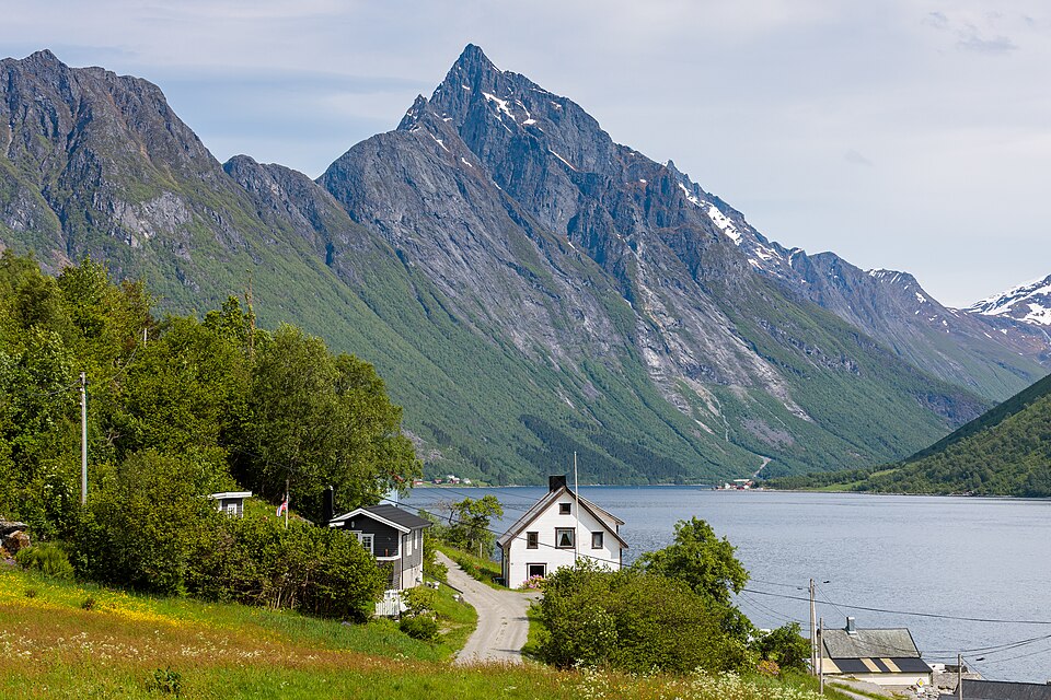 Norway — B2B and wholesale portals for local businesses