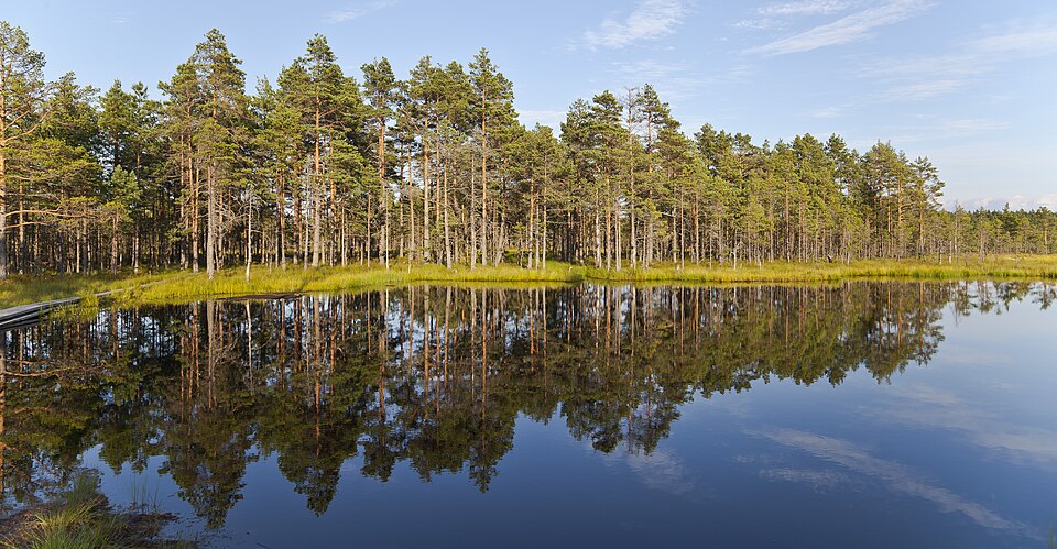 Estonia — local market for online stores