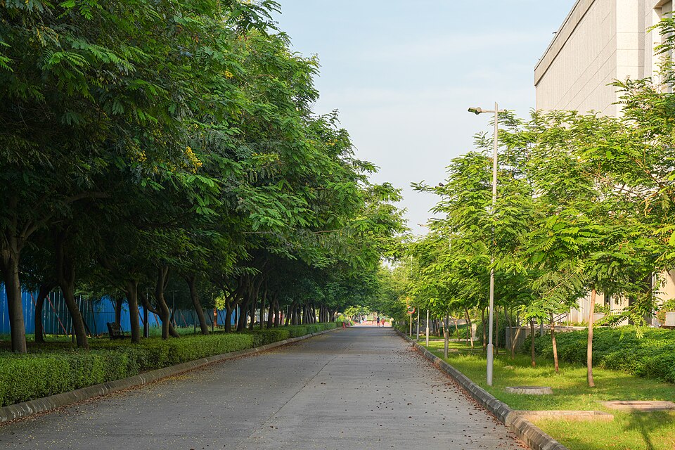 Gandhinagar — local market for international and multi-region stores