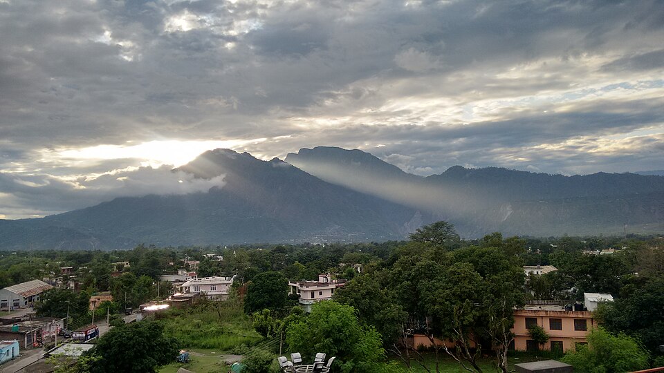 Reasi — local market for online stores