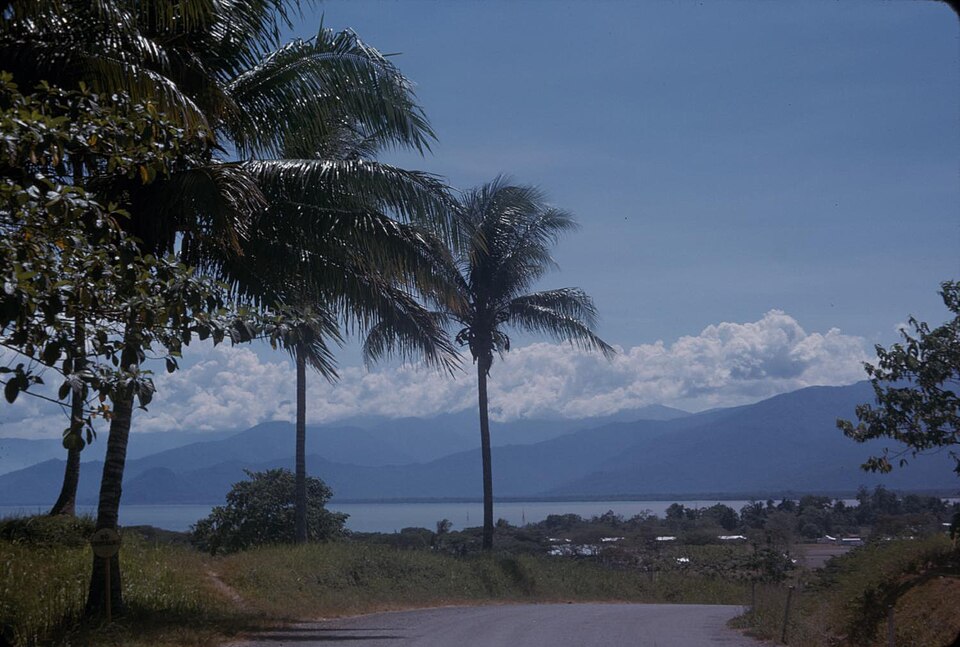 Guinea — international and multi-region stores for local businesses