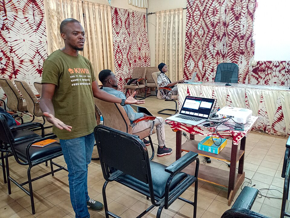 Bobo-Dioulasso — local market for custom e-commerce platforms