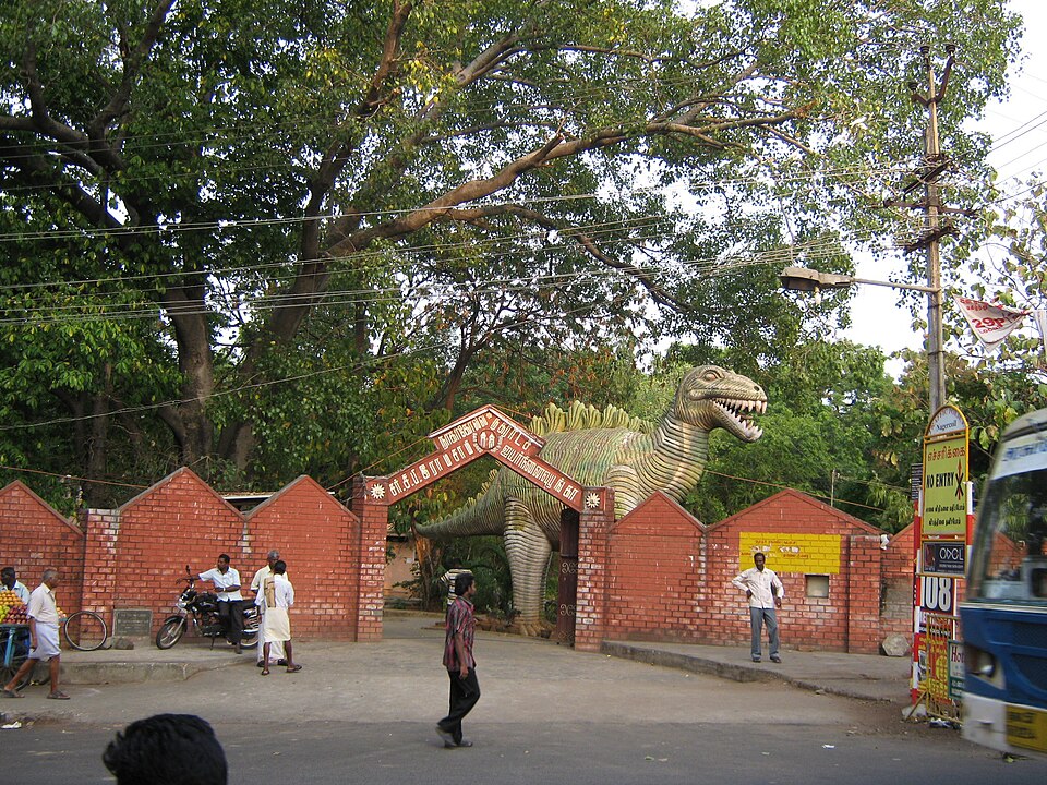 Nagercoil — local market for multi-vendor marketplaces