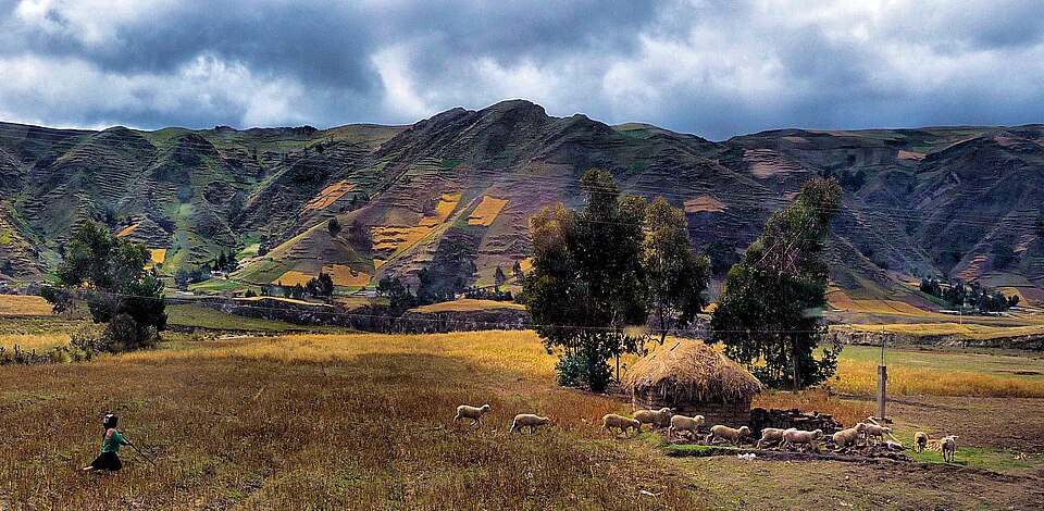 Ecuador — local market for international and multi-region stores