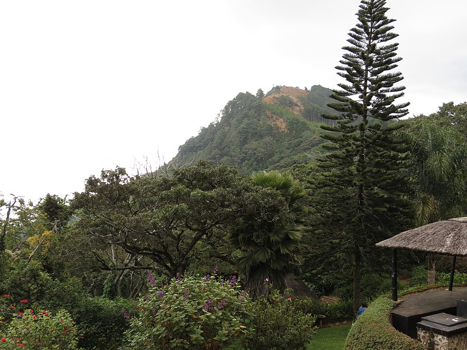 Zomba — multi-vendor marketplaces for local businesses
