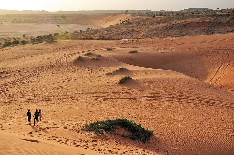 Niger — local market for online stores