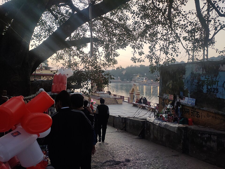 Rishikesh — B2B and wholesale portals for local businesses