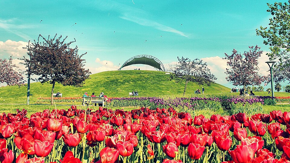 Kocaeli (İzmit) — local market for B2B and wholesale portals