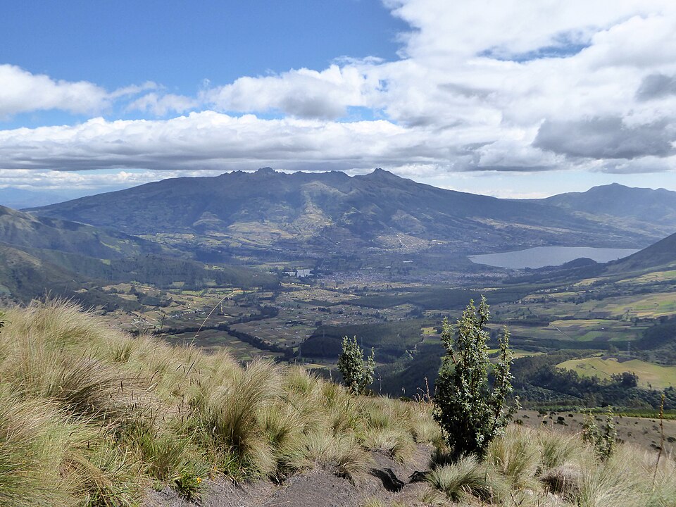Ecuador — mobile commerce apps for local businesses