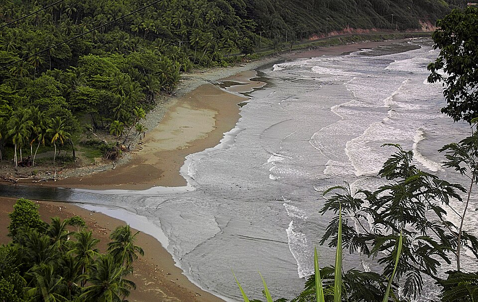 Dominica — local market for multi-vendor marketplaces