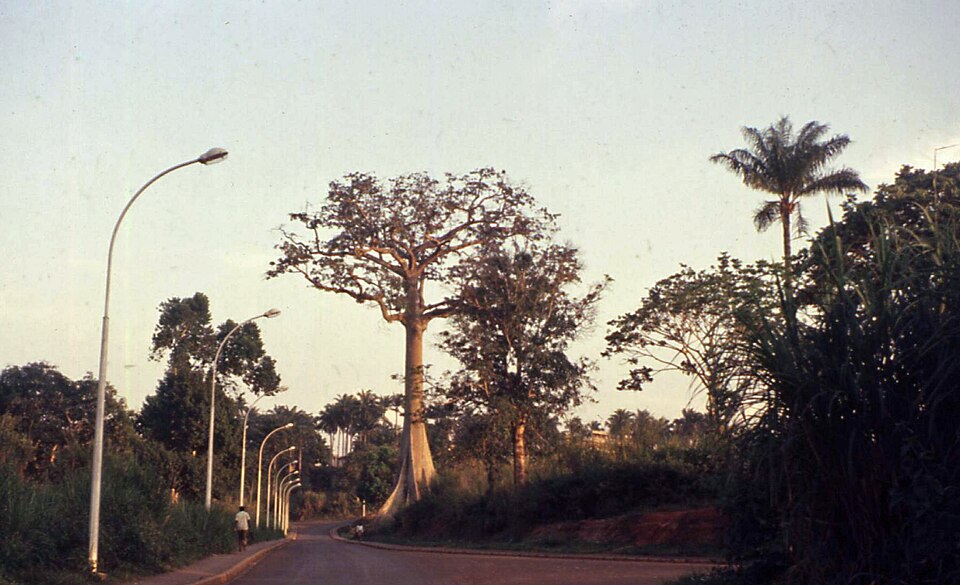 Yaoundé — local market for B2B and wholesale portals