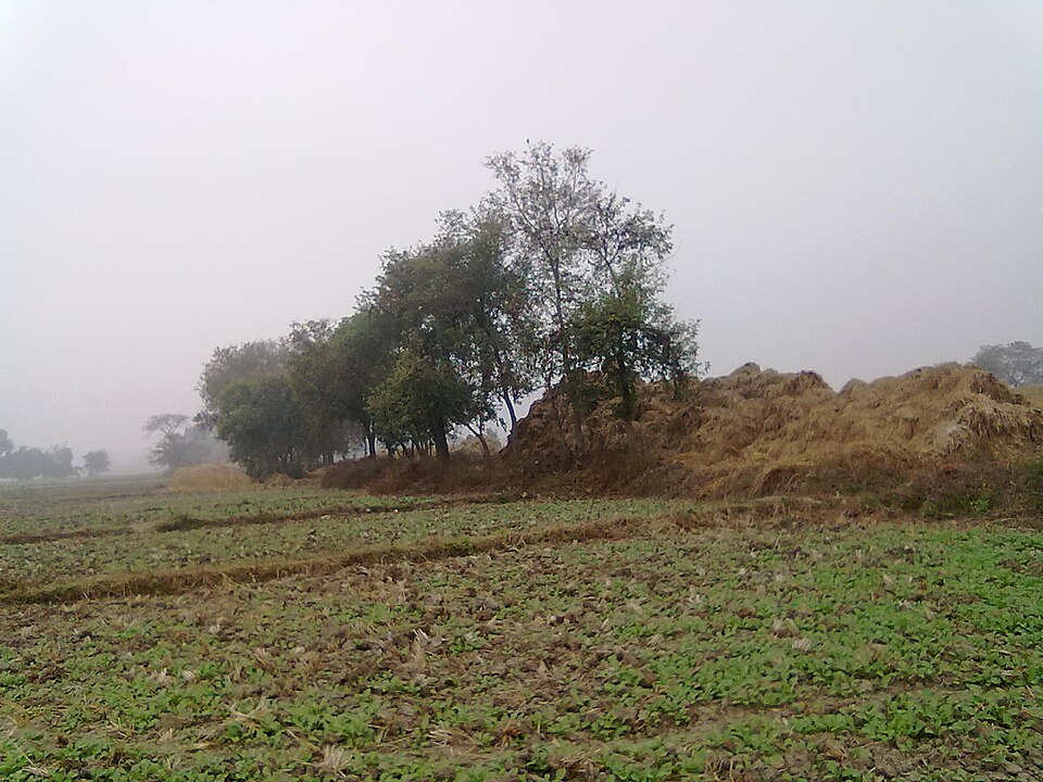Aurangabad (Bihar) — local market for online stores