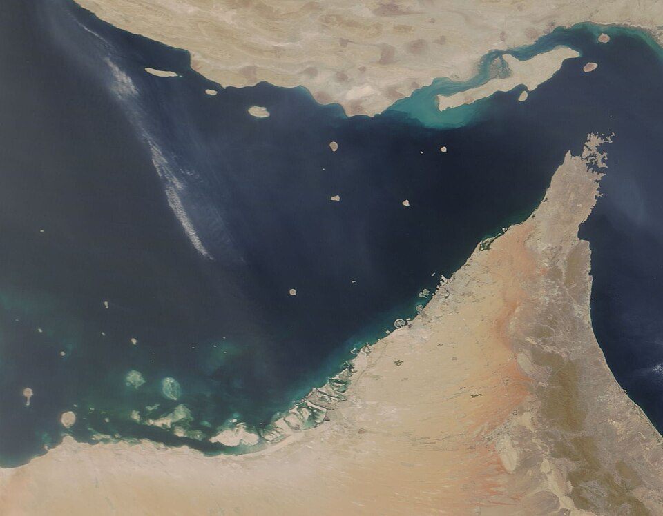 United Arab Emirates — local market for manufacturer and distributor portals