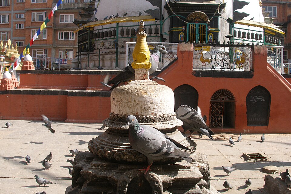 Kathmandu — B2B and wholesale portals for local businesses