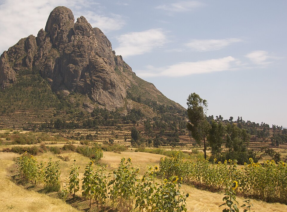 Ethiopia — local market for mobile commerce apps