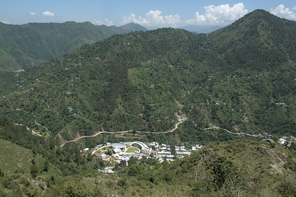 Mandi — local market for custom e-commerce platforms