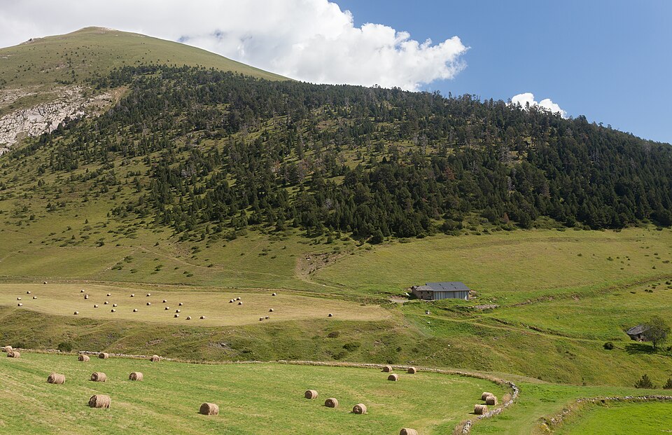 Andorra — local market for custom e-commerce platforms