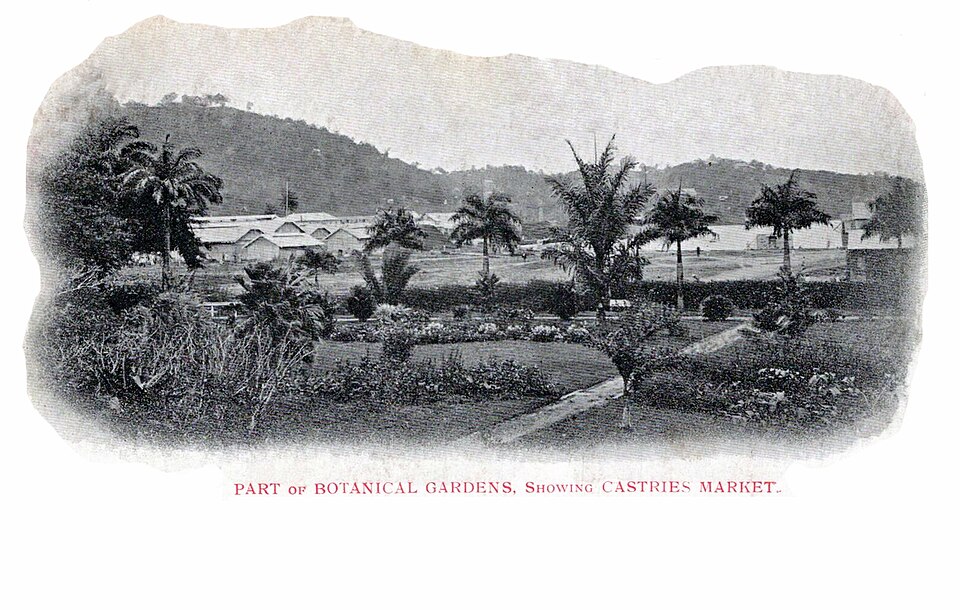 Castries — service booking platforms for local businesses