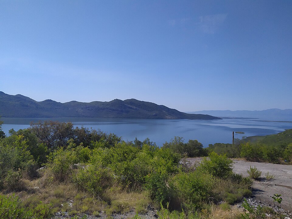 Montenegro — subscription and membership platforms for local businesses