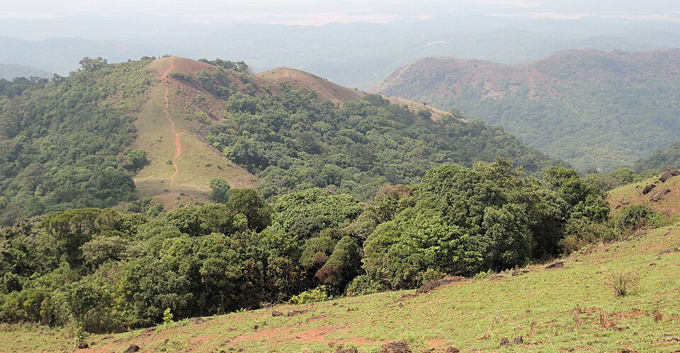 Shivamogga — subscription and membership platforms for local businesses