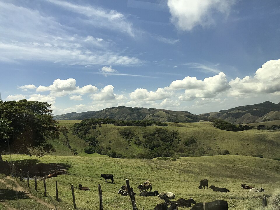 Costa Rica — local market for online stores